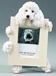 Poodle, White (2 1/2x3 1/2) Small Picture Frame