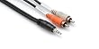 Y Cable 3.5Mm Trs Rca 10Ft