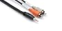 Hosa CMR206 Stereo 1/8 Inch to Dual RCA 6 Foot