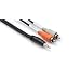 Hosa CMR210 Stereo 1/8 Inch to Dual RCA 10 Foot