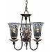 Triarch 32778 3 Light Cafe Chandelier, Tortoise Shell