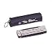 The Blues Harmonica in D