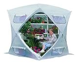 Bloomhouse 84