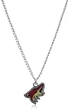 NHL Pheonix Coyotes Necklace