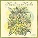 Healing Herbs 2010 Wall Calendar