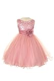 Sequin Bodice Tulle Special Occasion Holiday Flower Girl Dress - Dusty Rose 3-4