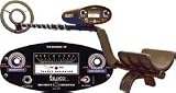 Best Beginners Metal Detector Guide