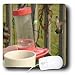 Edmond Hogge Jr Hummingbirds - Handheld Feeder - Mouse Pads