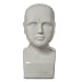HomArt Phrenology Head, Natural Color with Crackle Finish