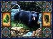 Bear Lodge Placemat - 13 x 17 Placemat