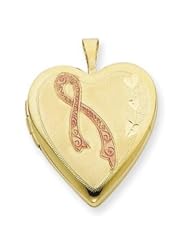 Gold Filled 20mm Enameled Awarness Heart Locket