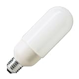 Philips-Licht EXTERIEUR ES 10 Energiesparlampe 16W