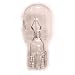 Genuine Kirby Light Bulb for G3, G4, G5, G6, Ultimate G, Diamond and Sentria