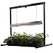 Green Thumb Light System - 2 Feet