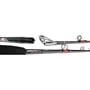 SEN 6'6" 30-60 CHRTER RGGD ROD