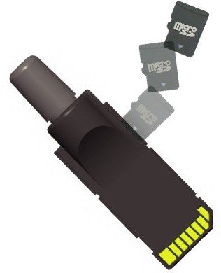 large image