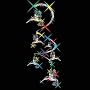 SHIMMERING HUMMINGBIRD SPIRAL