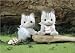 CALICO CRITTERS FISHER CAT TWINS
