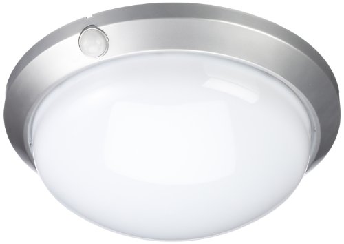 Fabas 2796-61-137 Deckenleuchte mit Bewegungsmelder &oslash; 30 cm / 60 W / E27 / silber Preisvergleich
