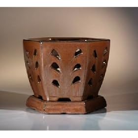Bonsai Boy's Ceramic Orchid Pot 7.25"x6.25" Hexagon With Attached Saucer