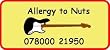 12 Personalised Guitar Allergy (Nuts) Temporary Tr...