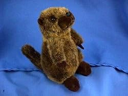 Plush Groundhog 8" High