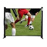 Portable Leinwand MAXlum Tischleinwand 101x76