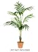 7' Decorative Artificial Tropical Kentia Palm Tree
