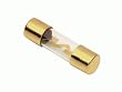 Raptor RAGU405 40 Amp Agu Fuses Gold 5Pk