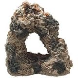 Natural Rock with 1 Hole - 6 in. x 3 in. x 6 in.
