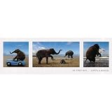 Life's a Beach (Elephants on the Beach) Art Poster Print - 12x36