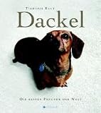 Dackel: Die besten Freunde der Welt