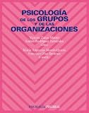 Psicologia de los grupos y de las organizaciones / Psychology of Groups and Organizations (Spanish Edition)