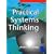 Practical Systems Thinking