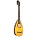 Gypsy Travel Guitar