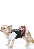 Beer Maid Heidi Ho Cute Dog Holiday Pet Costume