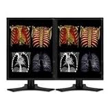 LCD Monitor - Tft Active Matrix - 21.3 Inch - 2046 X 1536 - 1450 CD/M2 - 900:1 -