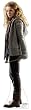 Hermoine Granger (Harry Potter and the Deathly Hallows) Life-Size Standup Poster