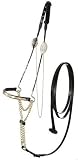 Royal King Gold/Silver Nose Arabian Show Halter