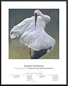 Art Poster Metal Framed Print - Siberian Crane - Artist: Robert Bateman- Poster Size: 36 X 28