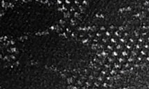 large image