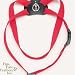 Pet Supplies : Coastal Pet Size Right Adjustable Nylon Cat Harness (Red, 12-18 Inch Girth)
