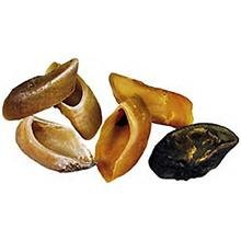 Childrens Toyshop  Pet Supplies : Choo Hooves Regular 3 Pk