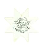 Throwing Star Dragon Gold 2.5 - Martial Arts - Throwing Stars