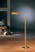 Holtkoetter Bauhaus Brushed Brass Floor Lamp