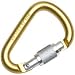 Petzl Attache Locking Carabiner