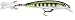 Rapala X-Rap 08 Fishing lure, 3.125-Inch, Olive Green Muddler