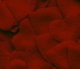 Heart Shaped Silk Rose Petals Wedding Favors Decor - 200 Count - Burgundy