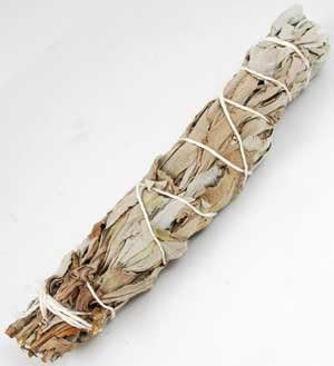 White Sage smudge 5-6" *