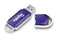 ByteStor 8GB USB  High Speed "Dataferry" Flash Drive